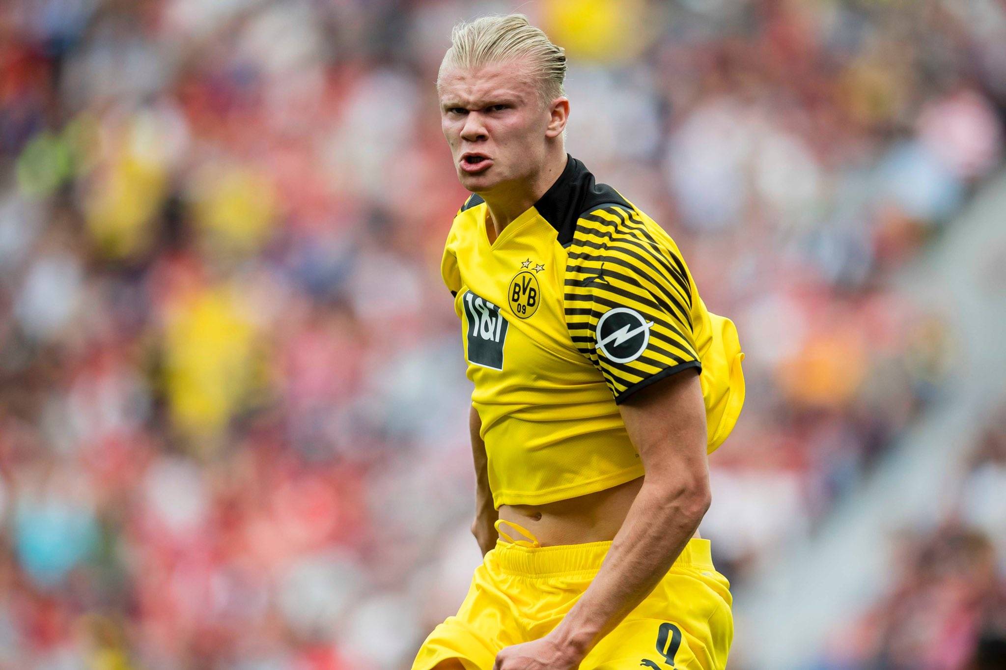 全力冲2026! 台钢雄鹰谈妥艾速特合约 樱井周斗也有望回归